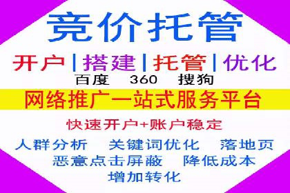 提升转化率：SEM竞价专员的案例研究
